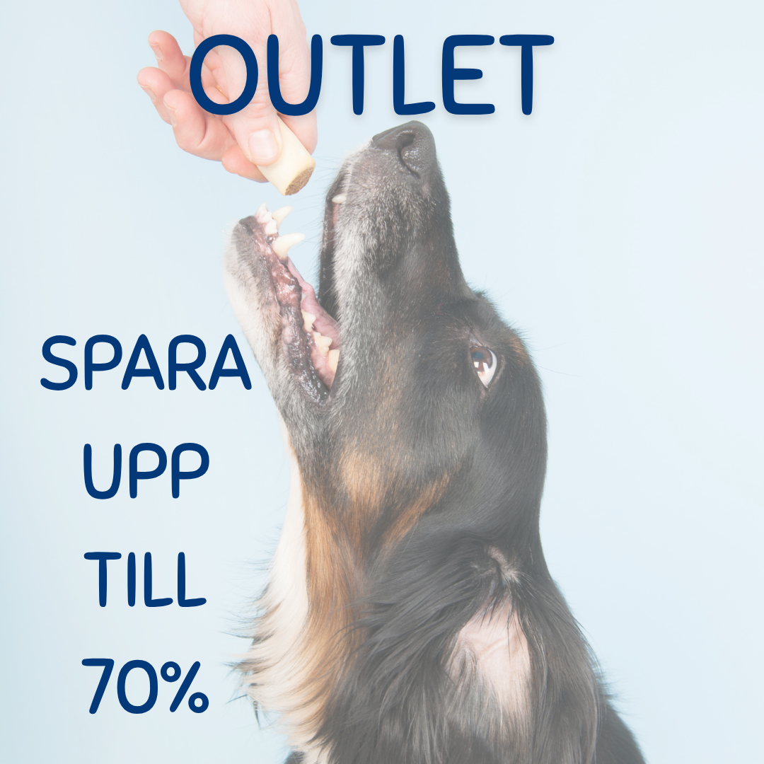 Nyheter